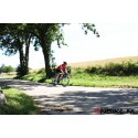  Davanti bikewear men's Cycling jersey Vito -  End Of Life