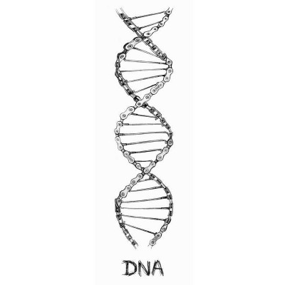  Cycology Gear T-shirt "DNA" Navy -  Casual